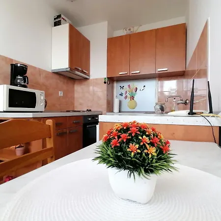 Apartments Grebovic Dubrovnik Exterior photo